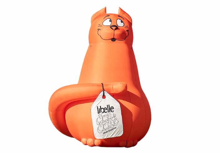 Maatwerk opblaasbare product vergroting van libelle rode cat